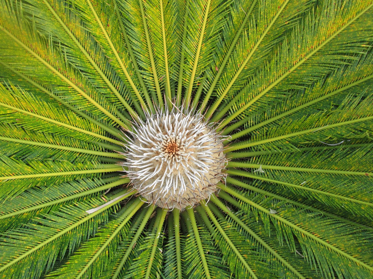 30代の敏感肌に最適なCICAクリームはどれですか？