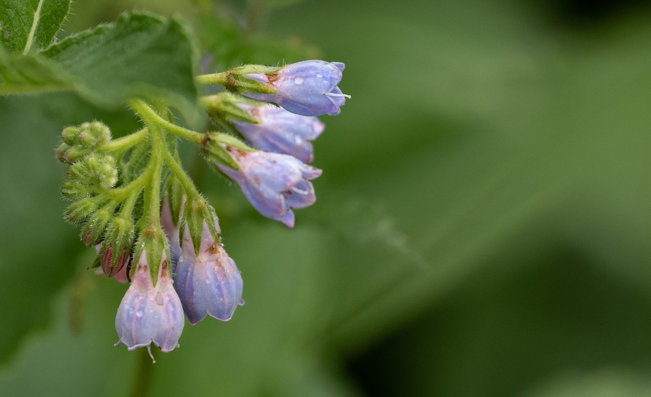 30代の大人ニキビ対策におすすめの洗顔料は？