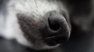 毛穴の目立ちをスキンケアで解決する方法は？