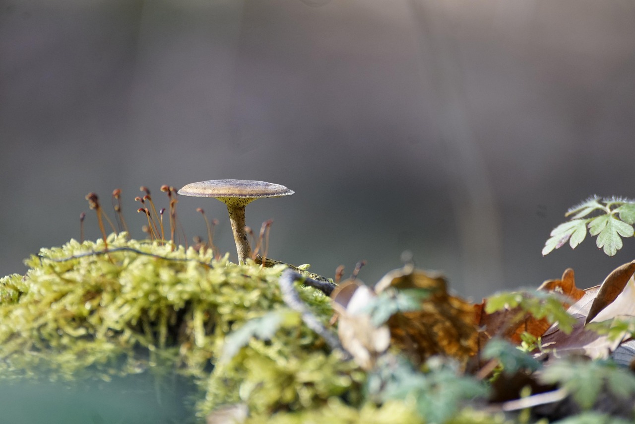 毛穴の開きっぱなしを解消するためのスキンケア方法は？
