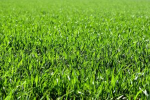 ニキビができる原因とは？スキンケアの間違った方法を見直そう！