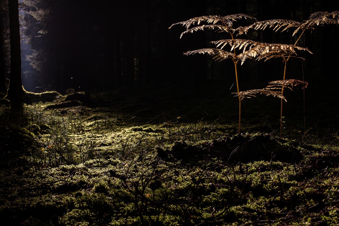 毛穴レスを目指すスキンケアに最適な化粧水は？