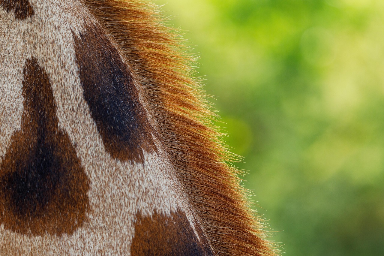 肌トラブルが治らない時に試すべきスキンケア方法は？