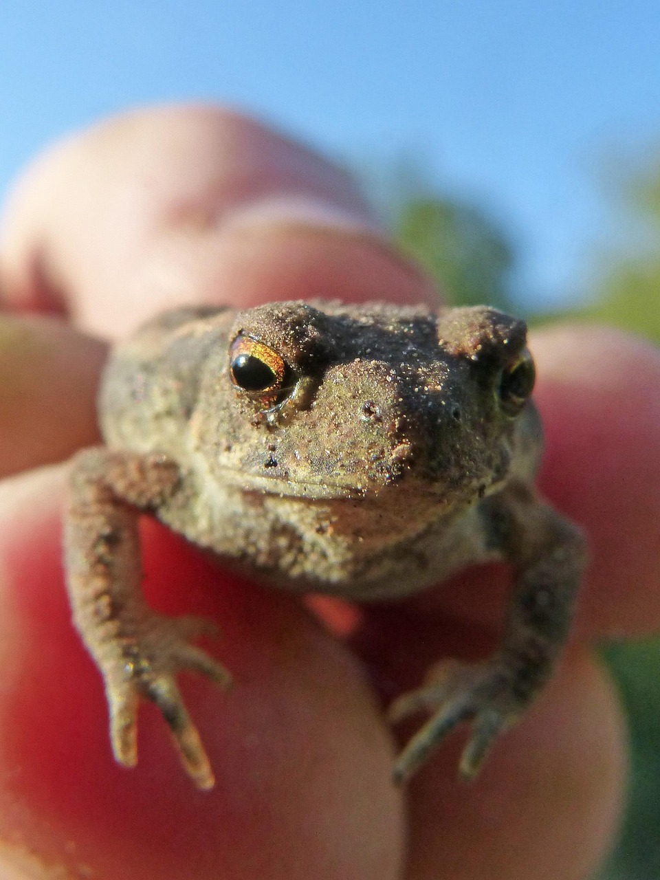 肌荒れに悩む方におすすめの市販スキンケア商品は？