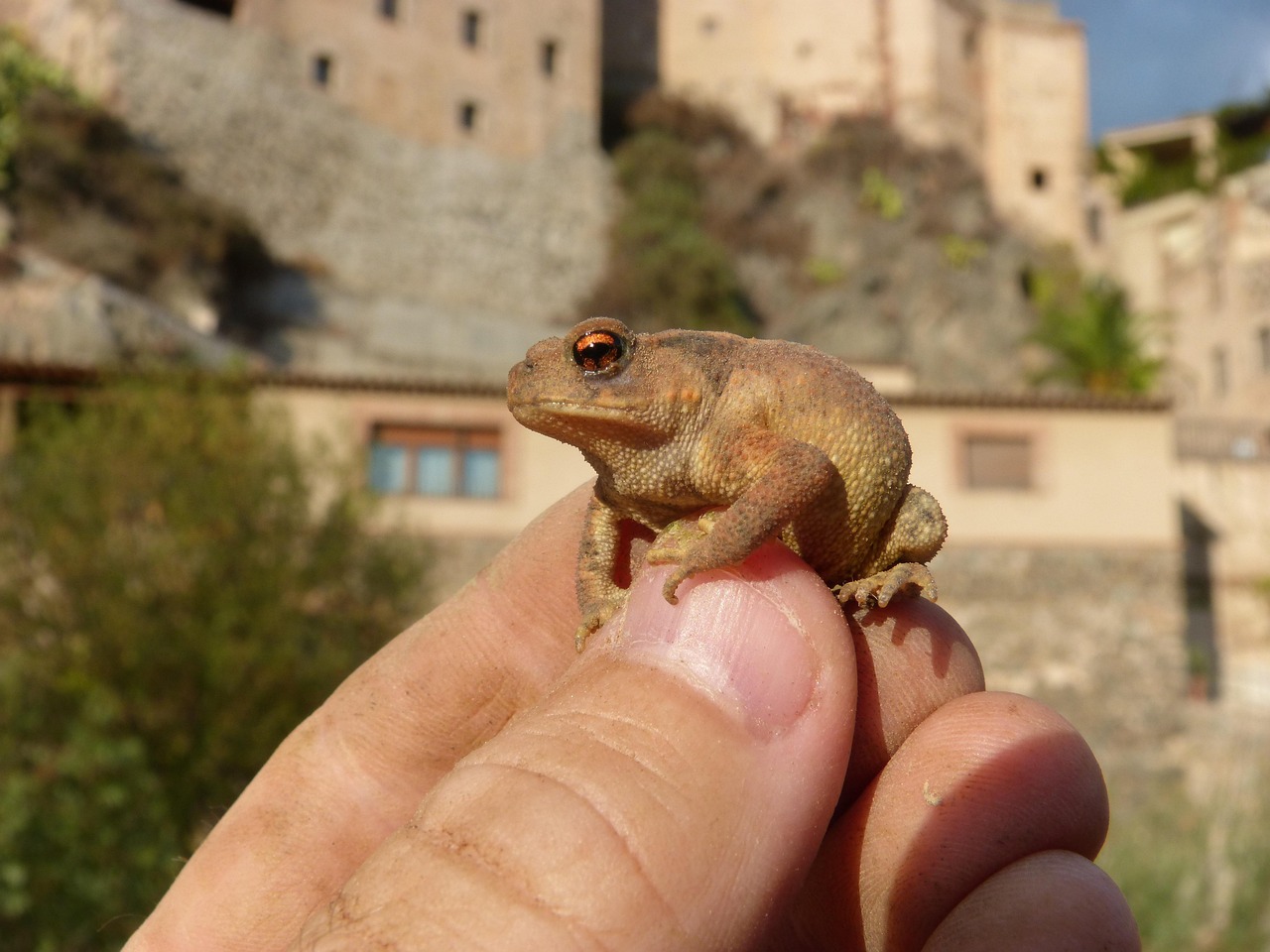 肌荒れを改善するためのスキンケアで保湿を重視する方法は？